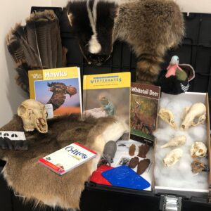 Discovery Trunk: Animal Adaptations