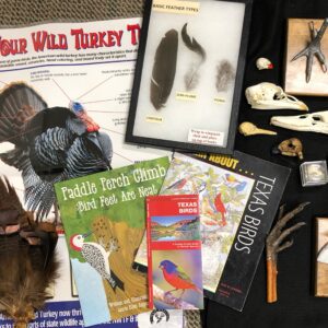 Discovery Trunk: Bird Adaptations