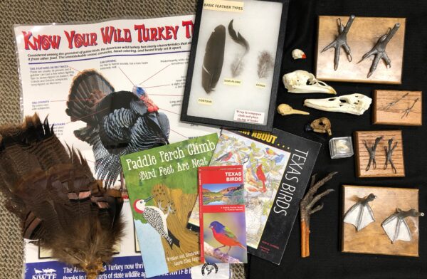 Discovery Trunk: Bird Adaptations