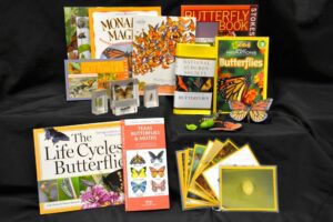 Butterflies trunk