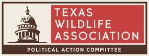 Political Action Committee Logo (Horizontal)
