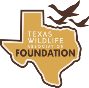 HISTORY & MISSION - The Wildlife Society