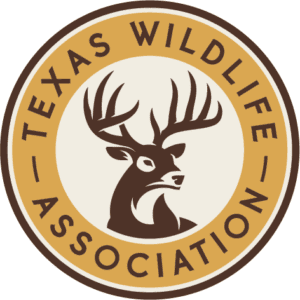 Active Membership