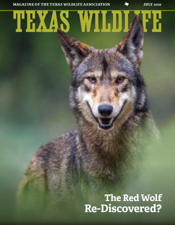 Texas Wildlife Magazine – Texas Wildlife Association