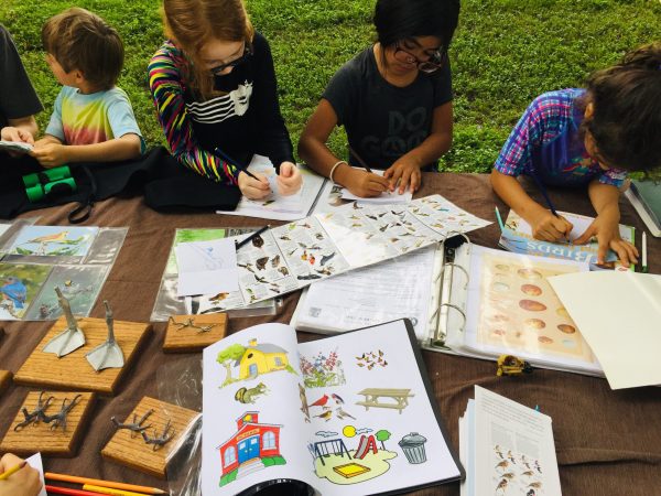 Bird Adaptations Discovery Trunk
