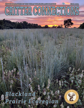Blackland Prairie Ecoregion CC Cover