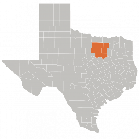 Greater Dallas/Fort Worth Area