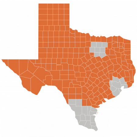 Discovery Trunks - X