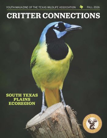 Fall 2026_South Texas Plains Ecoregion_Cover
