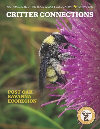 Spring 2026_Post Oak Savanna Ecoregion_Cover